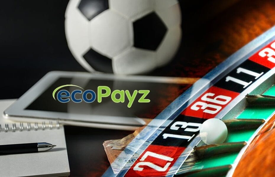 Ecopayz ile Ödeme Türkiye'de Bitiyor, Ecopayz Nasıl Kullanılır