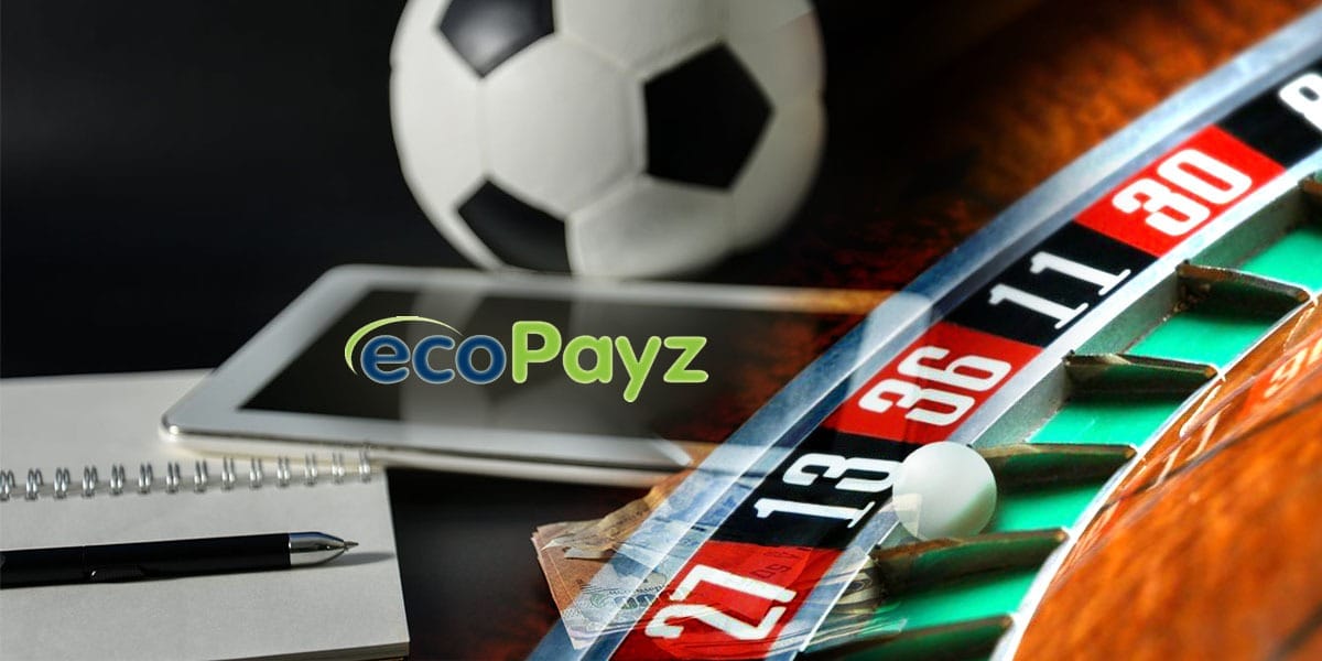 Ecopayz ile Ödeme Türkiye'de Bitiyor, Ecopayz Nasıl Kullanılır